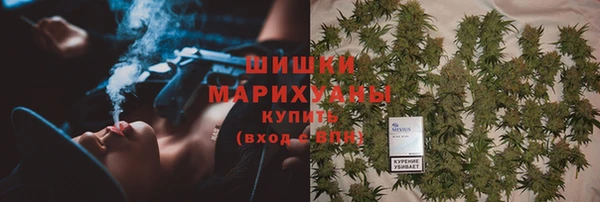 крисы Мегион